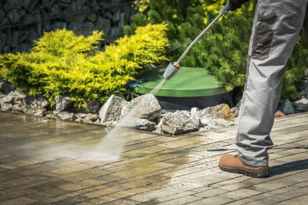 Best Sign and Awning Cleaning  in Wolf Lake, MI
