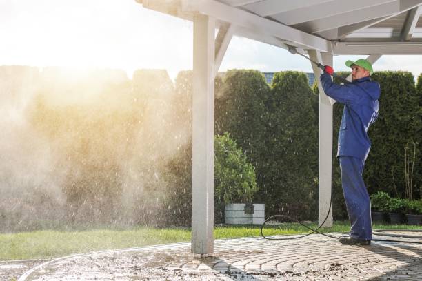 Best Fence Cleaning  in Wolf Lake, MI
