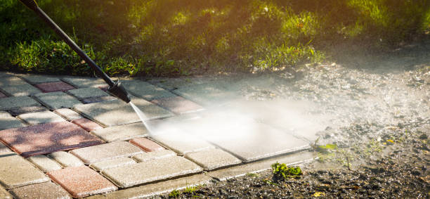 Best House Exterior Washing  in Wolf Lake, MI